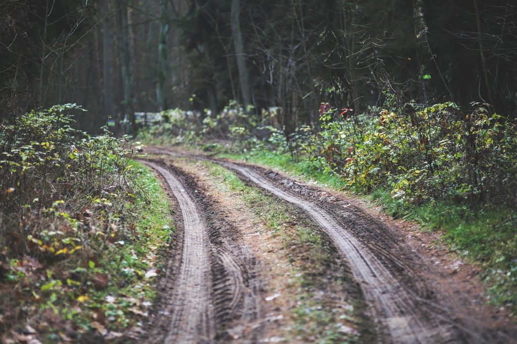 This Path May Lead To Off Road Recovery